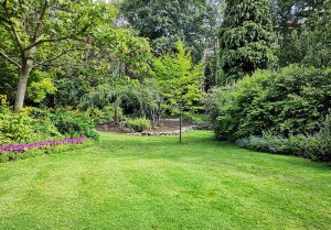 Optimiser l'expérience du jardin à Chaudon