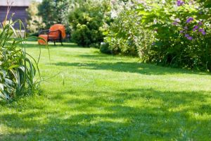 travaux jardin et paysage Chaudon